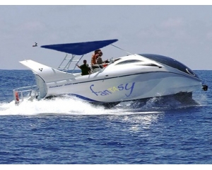 Alquila FANTASY 3 horas