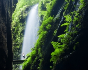 Manatiales de Marcos y Cordero