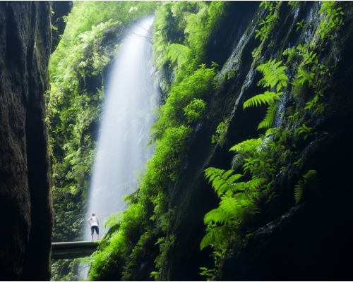 Manatiales de Marcos y Cordero