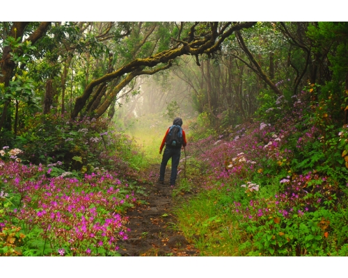 PHOTO TOURISM IN LA PALMA