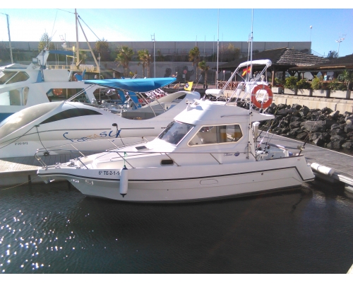 Freizeitfischerei mit Boot - 3 STUNDEN