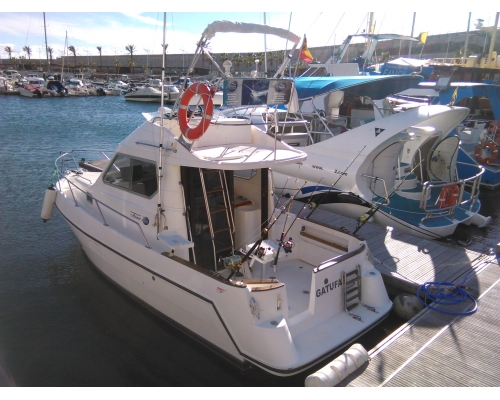 Freizeitfischerei mit Boot - 4 STUNDEN