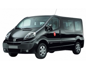 TOYOTA PROACE 9 Plazas. (La Palma)