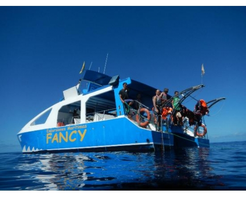 FANCY II - Nord Route -Adults-