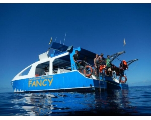 FANCY II - Ruta Norte -Niños